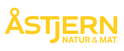 ÅSTJERN AS logo